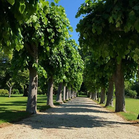 Le Manoir De Laferte-Sur-Aube Hotel Kültér fotó